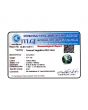 Pitambari Sapphire (Bi Colour) 2.61 Carat 