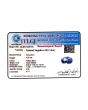 Pitambari Sapphire (Bi Colour) 3.2 Carat 