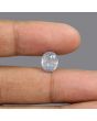 Pitambari Sapphire (Bi Colour) 6.14 Carat 