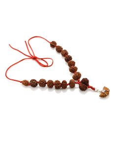 Rudraksha Siddha Mala 1 to 14 Mukhi With Gauri Shankar, Ganesh Rudraksha GJSPC Certified