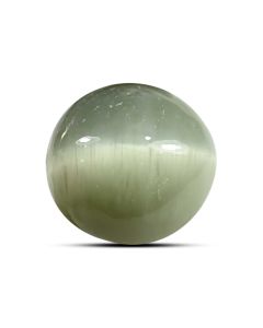 Quartz Cat's Eye (Lehsunia) Carat 8.3 