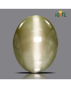 Chrysoberyl Cat`s Eye - 27.89 Carat 