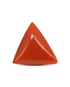 Red Coral (Moonga) Carat 5.5 