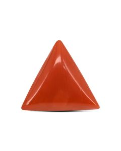 Red Coral (Moonga) Carat 4.54 