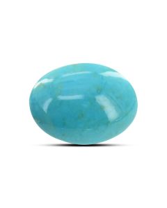 Arizona Turquoise (Firoza) 14.93 Carat 