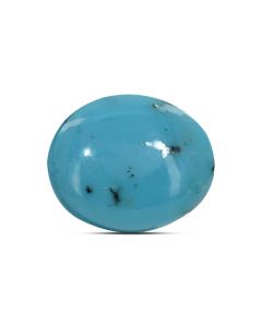 Irani Turquoise (Firoza) 3.98 Carat 