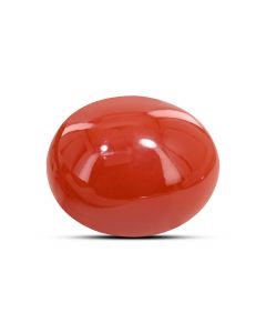 Japanese Red Coral (Moonga) 5.58 Carat 