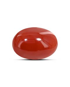 Japanese Red Coral (Moonga) 4.76 Carat 