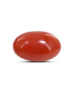 Japanese Red Coral (Moonga) 9.83 Carat 