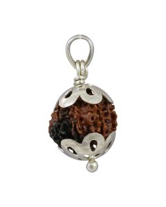 10 Mukhi Rudraksha Silver Pendant (Nepal) 18.19 MM