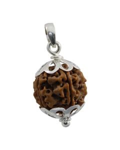 5 Mukhi Rudraksha Silver Pendant (Nepal)