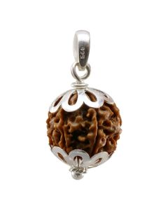 6 Mukhi Rudraksha Silver Pendant (Nepal)