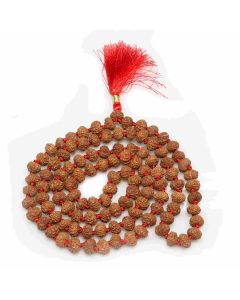 7 Mukhi Rudraksha Mala (Indonesia) (108+1 Beads) GJSPC Certified