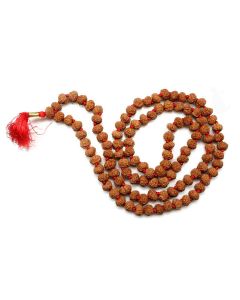 9 Mukhi Rudraksha Mala (108+1 Beads)