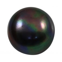 Black Fresh Water Pearl 6.98 Carat 