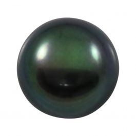 Black Fresh Water Pearl 7.04 Carat 