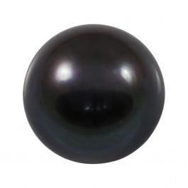 Black Fresh Water Pearl 7.13 Carat 