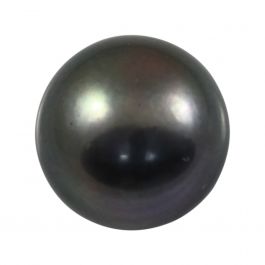 Black Fresh Water Pearl 6.68 Carat 