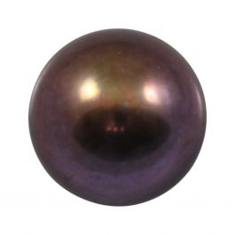 Black Fresh Water Pearl 6.59 Carat 