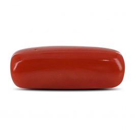 Red Coral (Moonga) - 5.25 Carat
