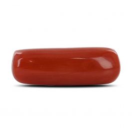 Red Coral (Moonga) - 5.03 Carat