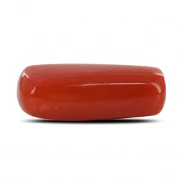 Red Coral (Moonga) - 5.26 Carat