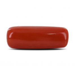 Red Coral (Moonga) - 5.02 Carat