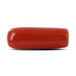 Red Coral (Moonga) - 5.12 Carat