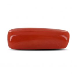 Red Coral (Moonga) - 5.24 Carat