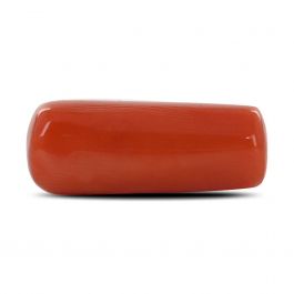 Red Coral (Moonga) - 5.27 Carat