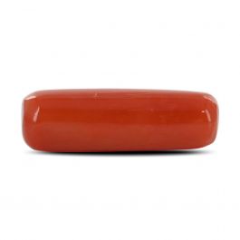 Red Coral (Moonga) - 6.26 Carat
