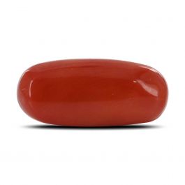 Red Coral (Moonga) - 7.12 Carat