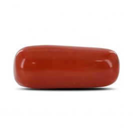 Red Coral (Moonga) - 6 Carat