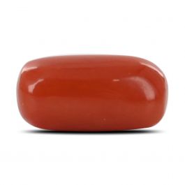 Red Coral (Moonga) - 6.15 Carat