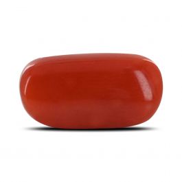 Red Coral (Moonga) - 5.16 Carat