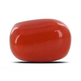 Red Coral (Moonga) - 5.22 Carat