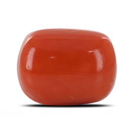 Red Coral (Moonga) - 4.24 Carat