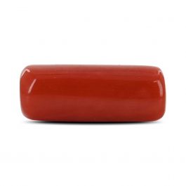 Red Coral (Moonga) - 6.55 Carat