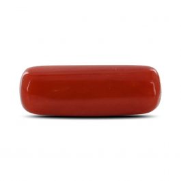 Red Coral (Moonga) - 6.45 Carat