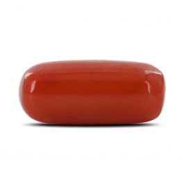 Red Coral (Moonga) - 6.43 Carat