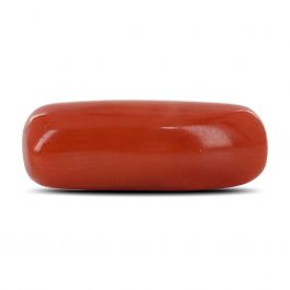 Red Coral (Moonga) - 7.6 Carat
