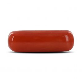 Red Coral (Moonga) - 7.82 Carat