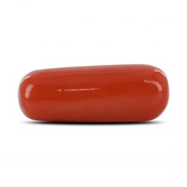 Red Coral (Moonga) - 7.94 Carat