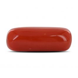 Red Coral (Moonga) - 6.55 Carat