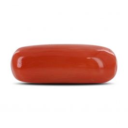 Red Coral (Moonga) - 7.14 Carat