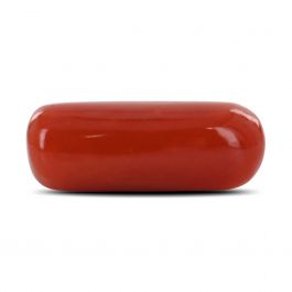 Red Coral (Moonga) - 7.33 Carat