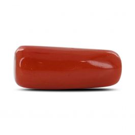 Red Coral (Moonga) - 7.38 Carat