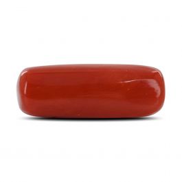 Red Coral (Moonga) - 6.61 Carat