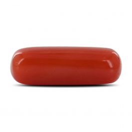 Red Coral (Moonga) - 4.18 Carat