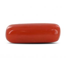 Red Coral (Moonga) - 4.05 Carat
